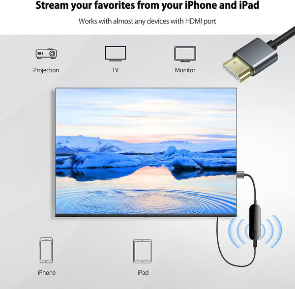 📽️iShare iOS Drahtloser HDMI-Displayadapter