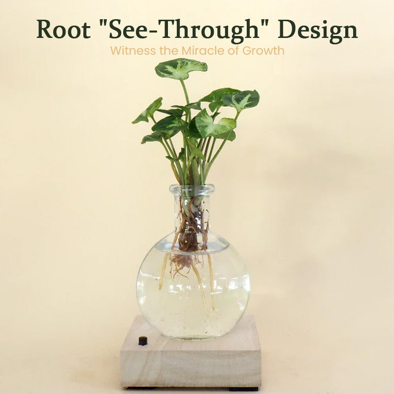 LumiGrow LED Hydroponic Plant Vase with Grow Light | Soil-Free Propagation