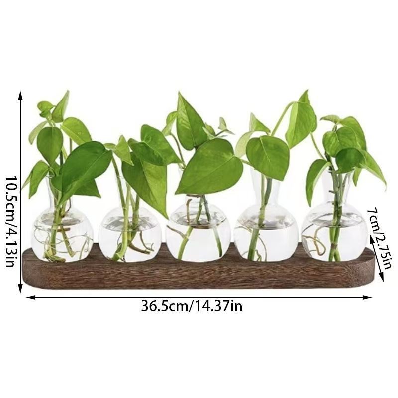 LumiGrow LED Hydroponic Plant Vase with Grow Light | Soil-Free Propagation