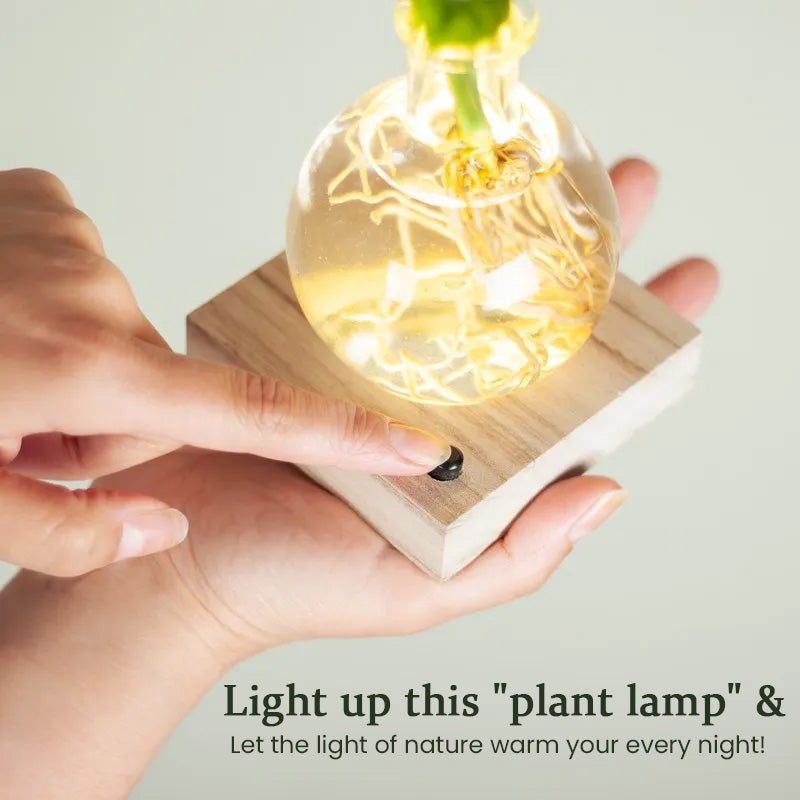 LumiGrow LED Hydroponic Plant Vase with Grow Light | Soil-Free Propagation