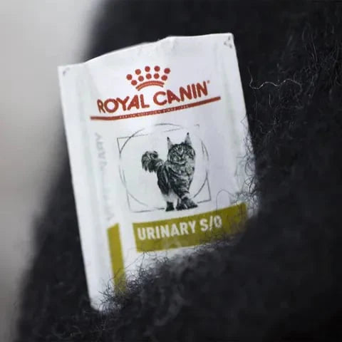 🎄✨Wool Felt Familiars – Handmade Weird Felt Cat | Needle Felted Desk Companion & Unique Gift