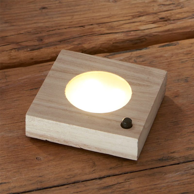 LumiGrow LED Hydroponic Plant Vase with Grow Light | Soil-Free Propagation